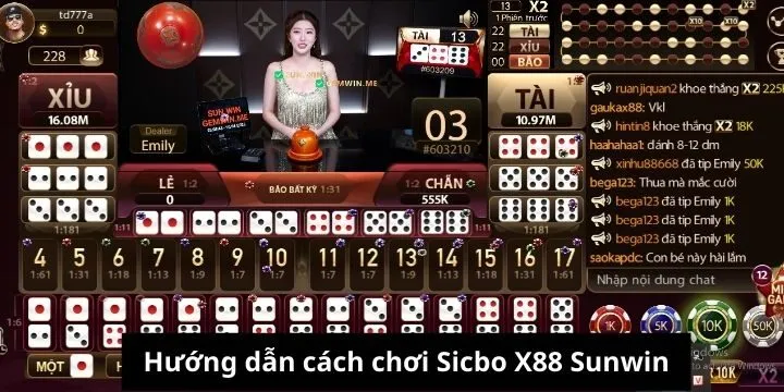 Các cửa cược phổ biến của sicbo X88 Sunwin